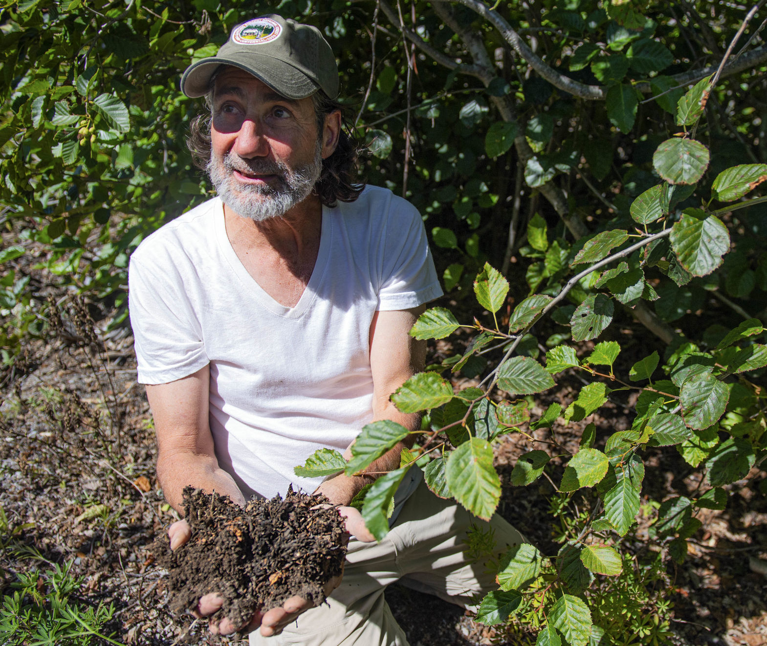 Handful of soil